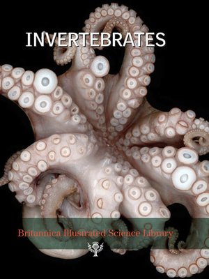 cover image of Britannica Illustrated Science Library: Invertebrates